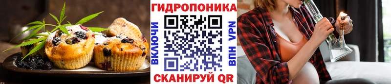 дарк нет наркотические препараты  Мончегорск  Canna-Cookies марихуана 