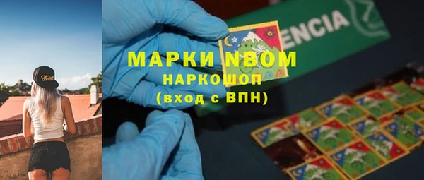 гашик Арсеньев