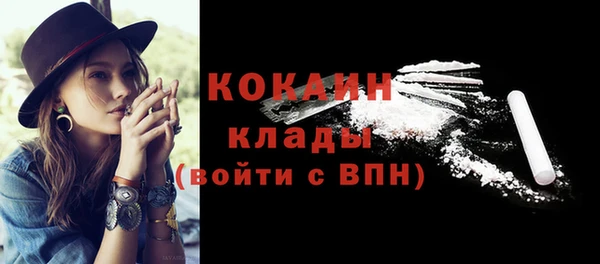 гашик Арсеньев