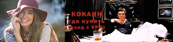 гашик Арсеньев