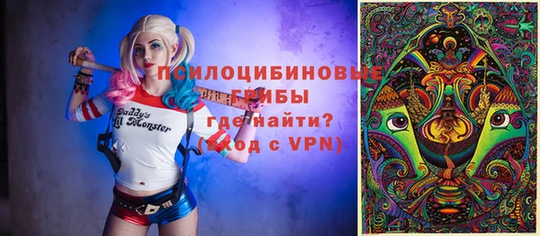 гашик Арсеньев
