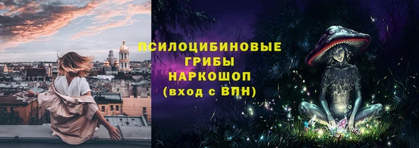 гашик Арсеньев