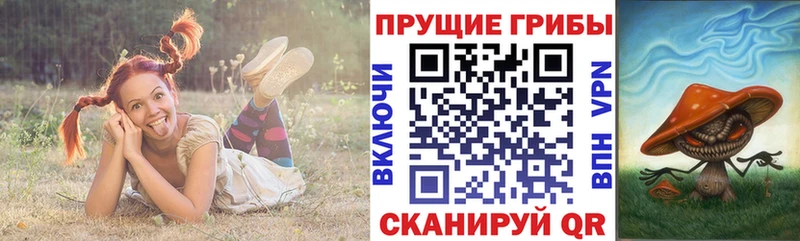 гидра сайт  как найти наркотики  это какой сайт  Псилоцибиновые грибы мицелий  Мончегорск 